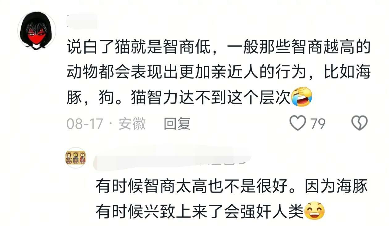 猫的智商能低的有多离谱,颠覆你的认知