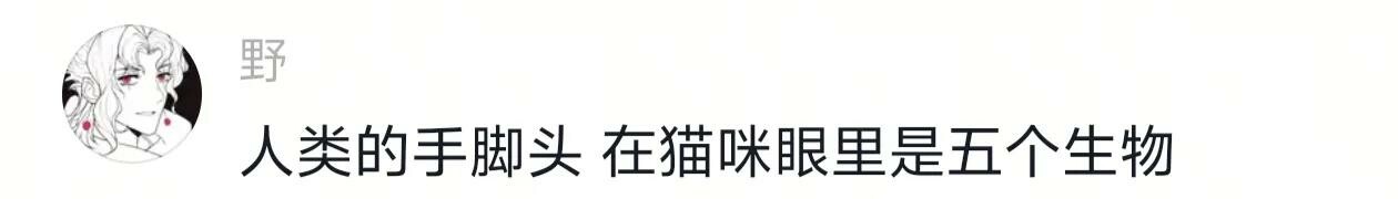 猫的智商能低的有多离谱，颠覆你的认知