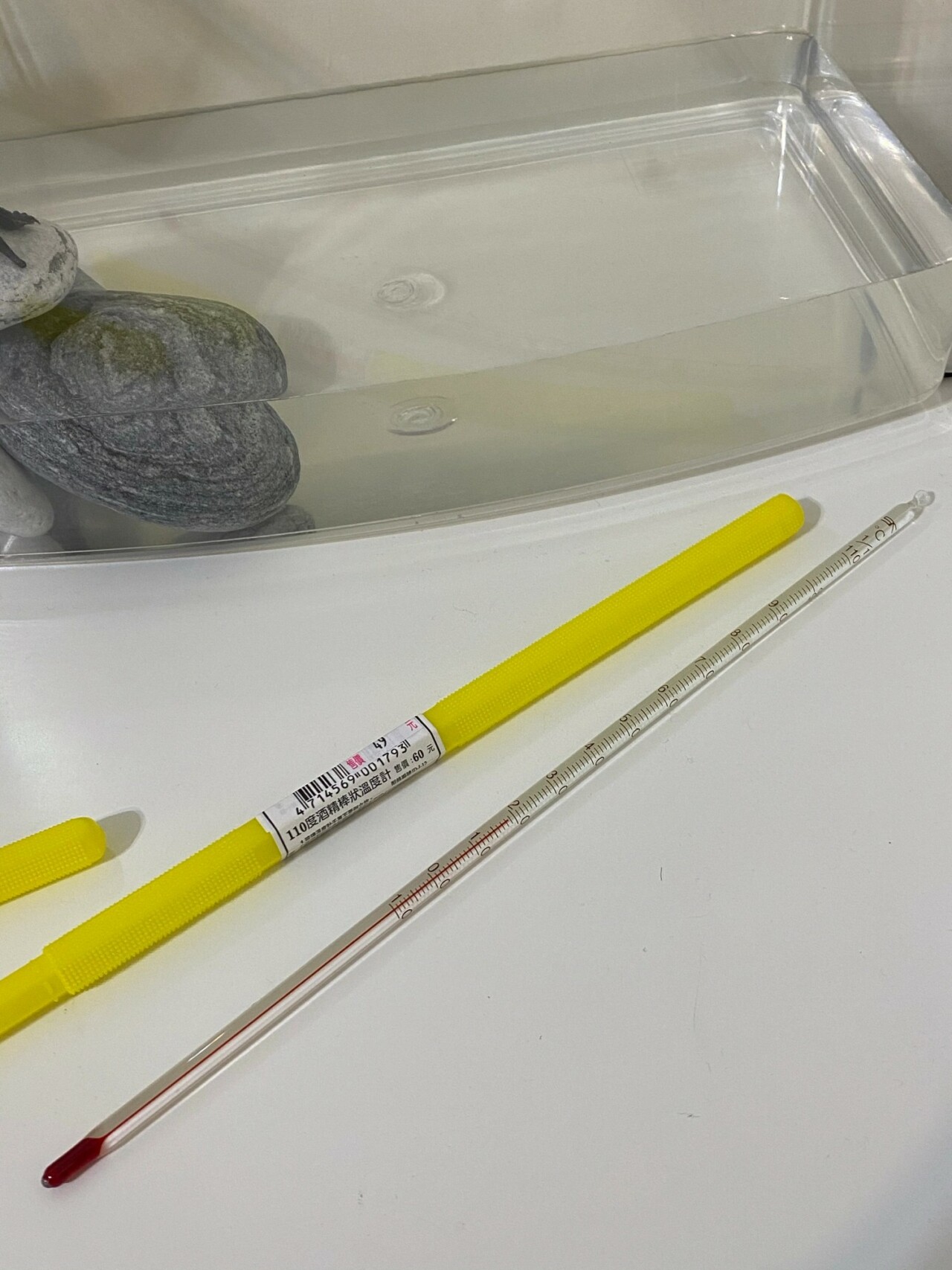 What Do You Need to Prepare for a Pet Turtle? A Complete Guide to Containers, Setups, Feeding, and Equipment