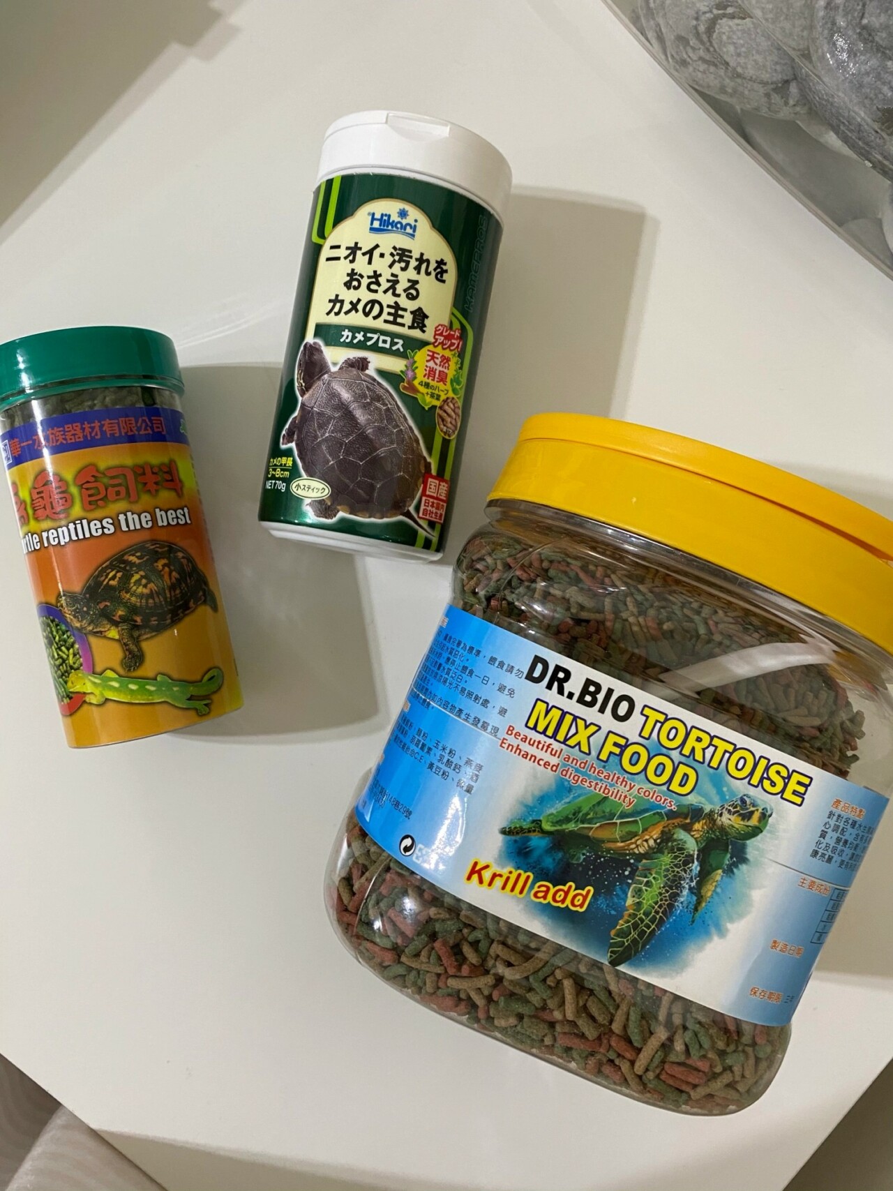 What Do You Need to Prepare for a Pet Turtle? A Complete Guide to Containers, Setups, Feeding, and Equipment
