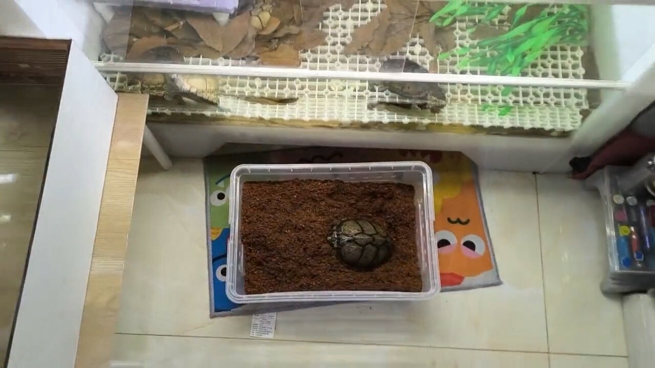 百科全书