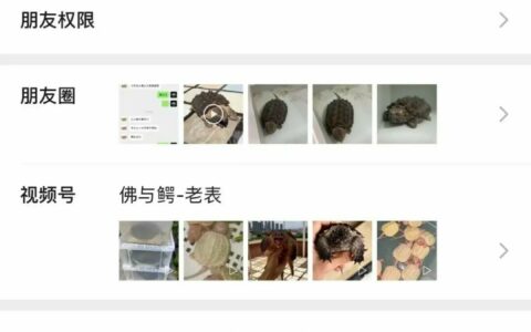 谁收钱 谁负责！你的上家跑不跑路和龟友无关！