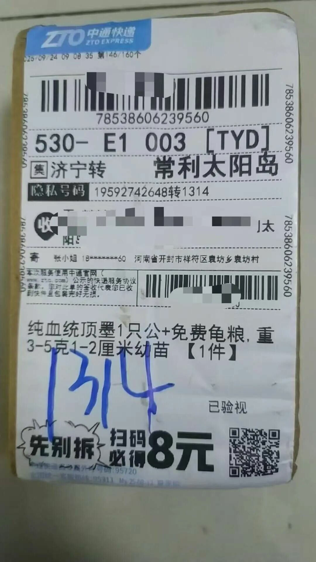 龟友联盟 2025.9.27