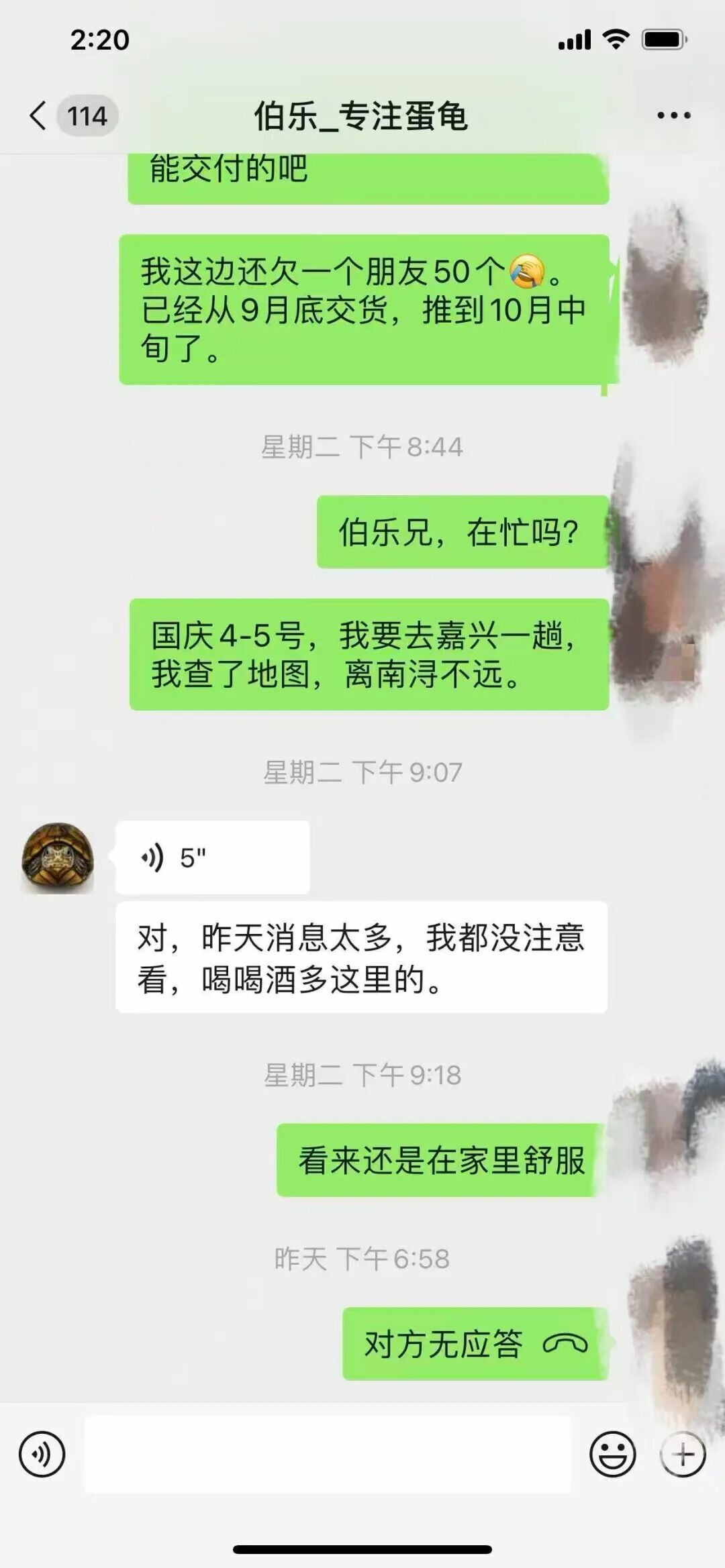 龟友联盟 2025.10.6——七月订头盔苗被骗 17000 元，龟友自述全过程