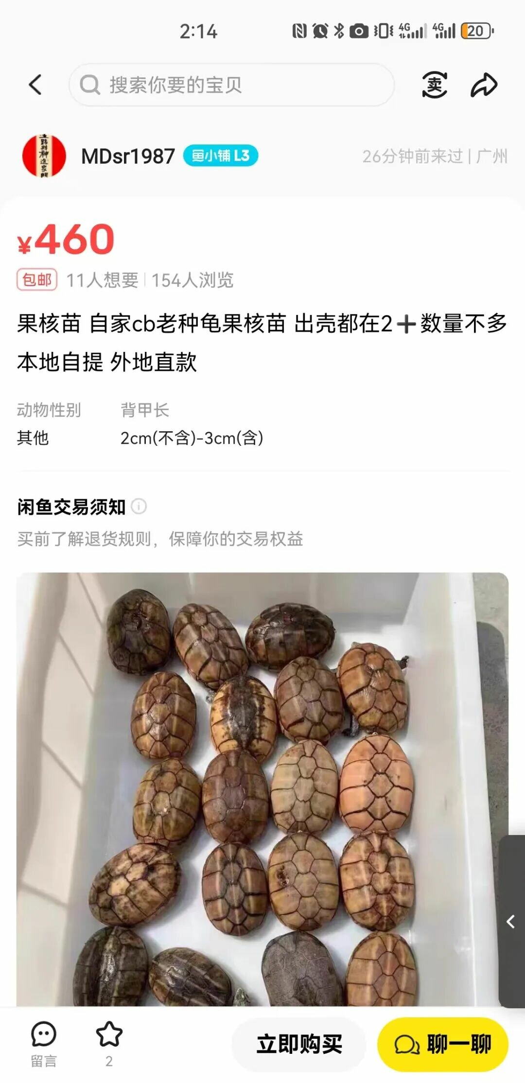 龟友联盟 2025.10.8——闲鱼买果核苗被骗经历曝光，骗子竟天天在线不回消息