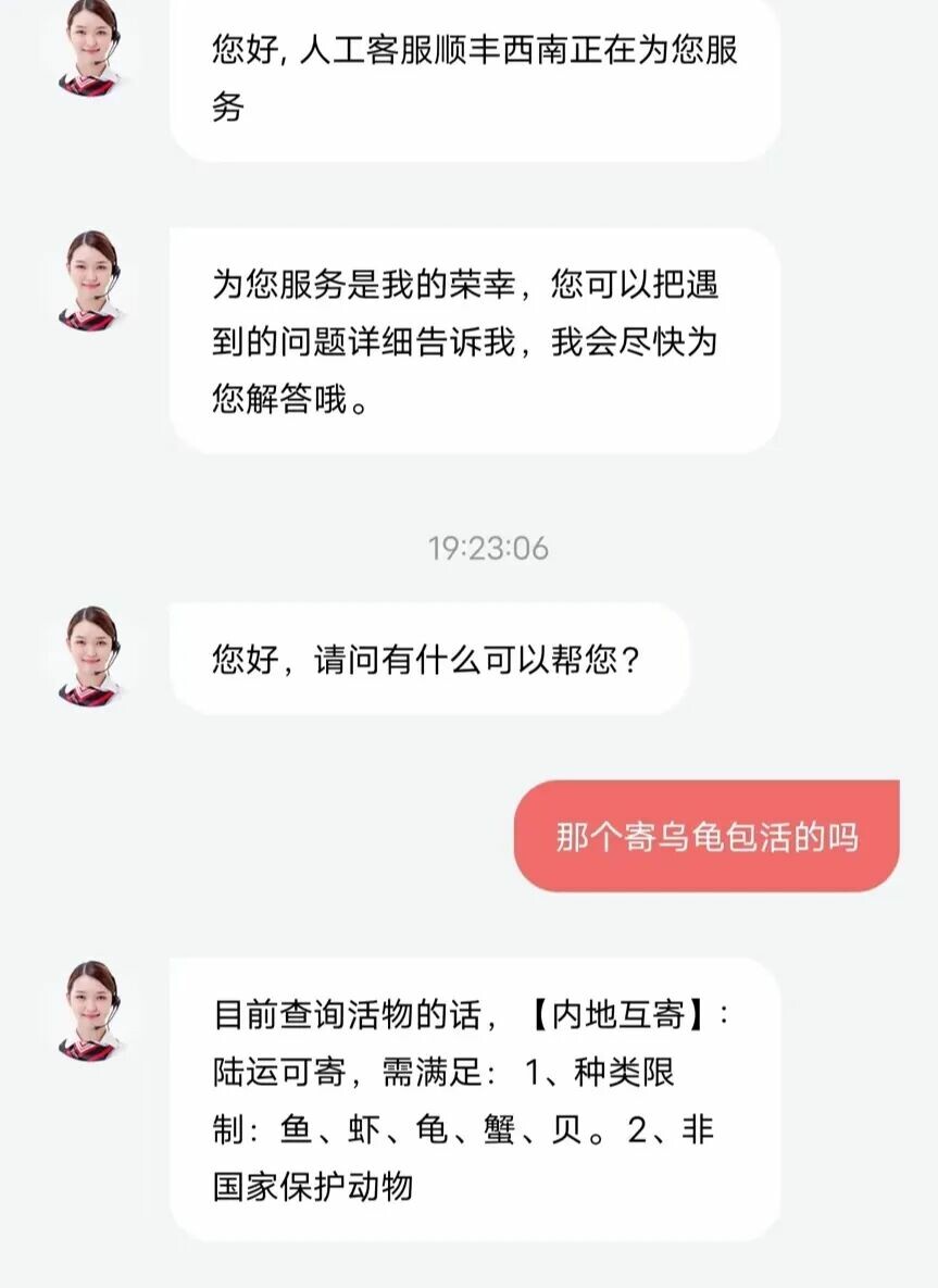 乌龟快递寄送全攻略：新手必看的流程与注意事项