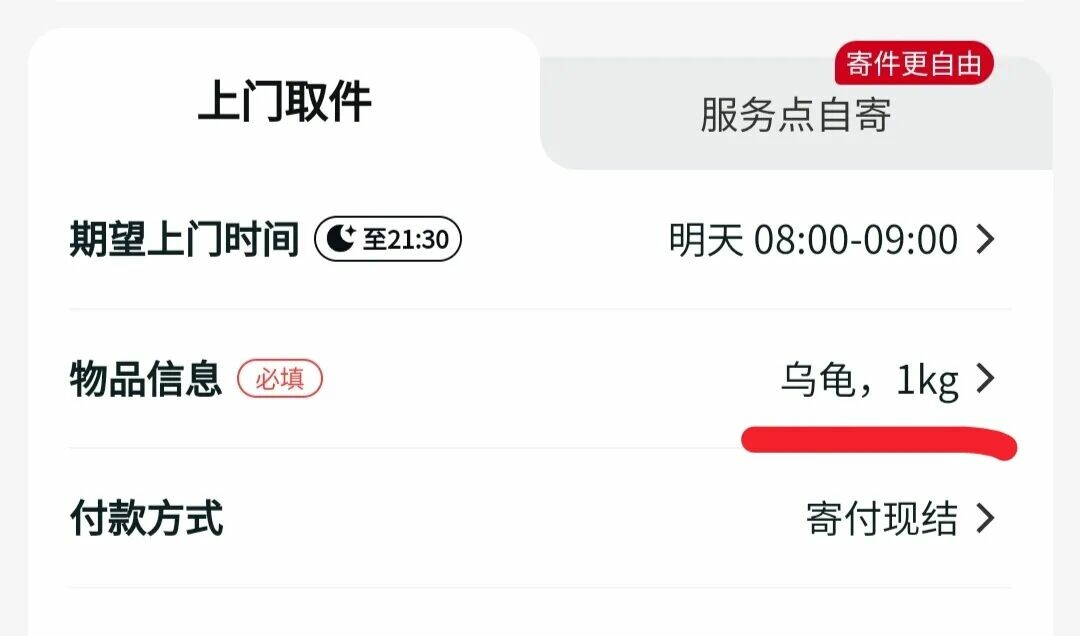 乌龟快递寄送全攻略:新手必看的流程与注意事项
