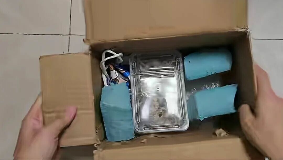 乌龟快递寄送全攻略:新手必看的流程与注意事项