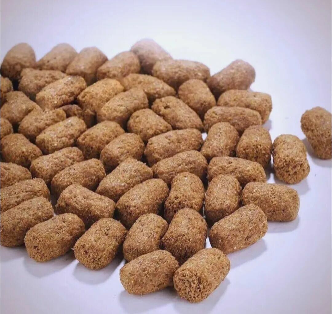 龟粮怎么选？3 个专业标准帮你挑对粮，告别拒食、肠炎！