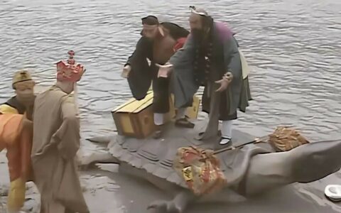 《西游记》神龟真身是鼋？揭秘鼋的 12 个真相，它是中华文化活符号