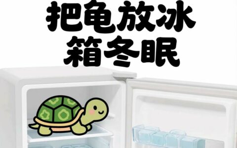 How to Hibernate Turtles in Northern Homes with Underfloor Heating? Is the ‘Refrigerator Hibernation’ Method Reliable?