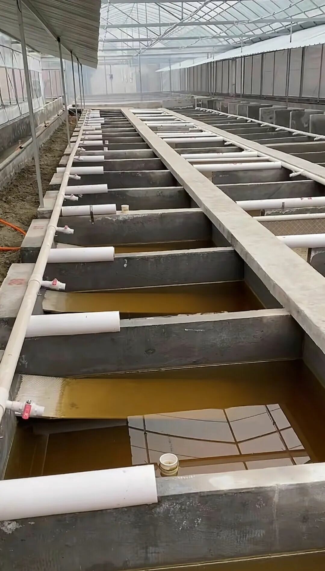 Pools inside a large-scale indoor turtle farm