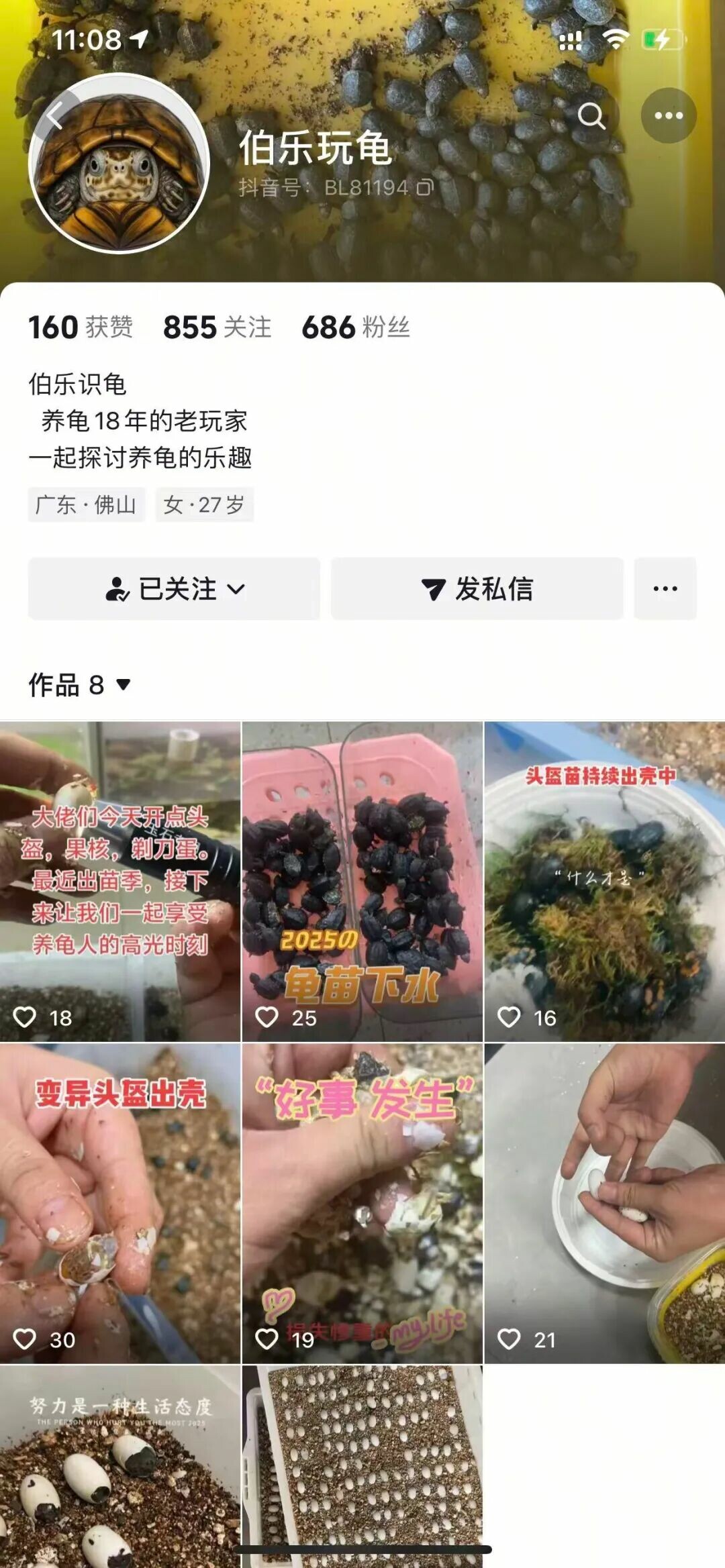 龟友联盟 2025.10.18——3.8 万预定款打水漂?揭秘“伯乐_专注蛋龟”的连环骗局