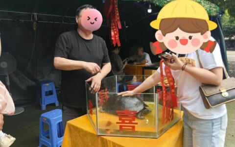 摸龟骗局揭秘：青城山 1300 岁“神龟”的残忍真相