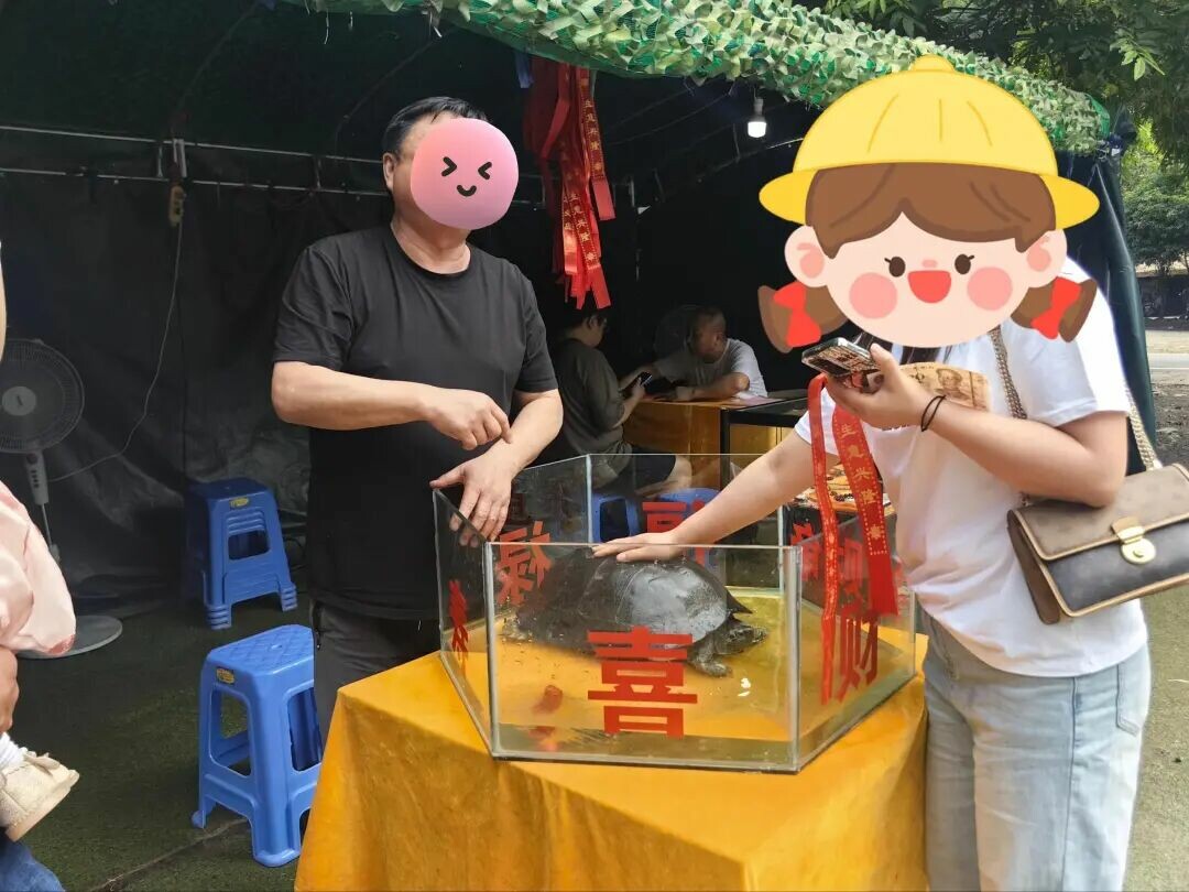 摸龟骗局揭秘:青城山 1300 岁“神龟”的残忍真相
