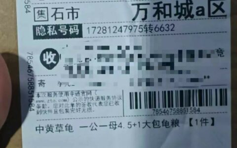 龟友联盟 2025.11.1——600 元买四眼斑水龟，竟收到草龟？