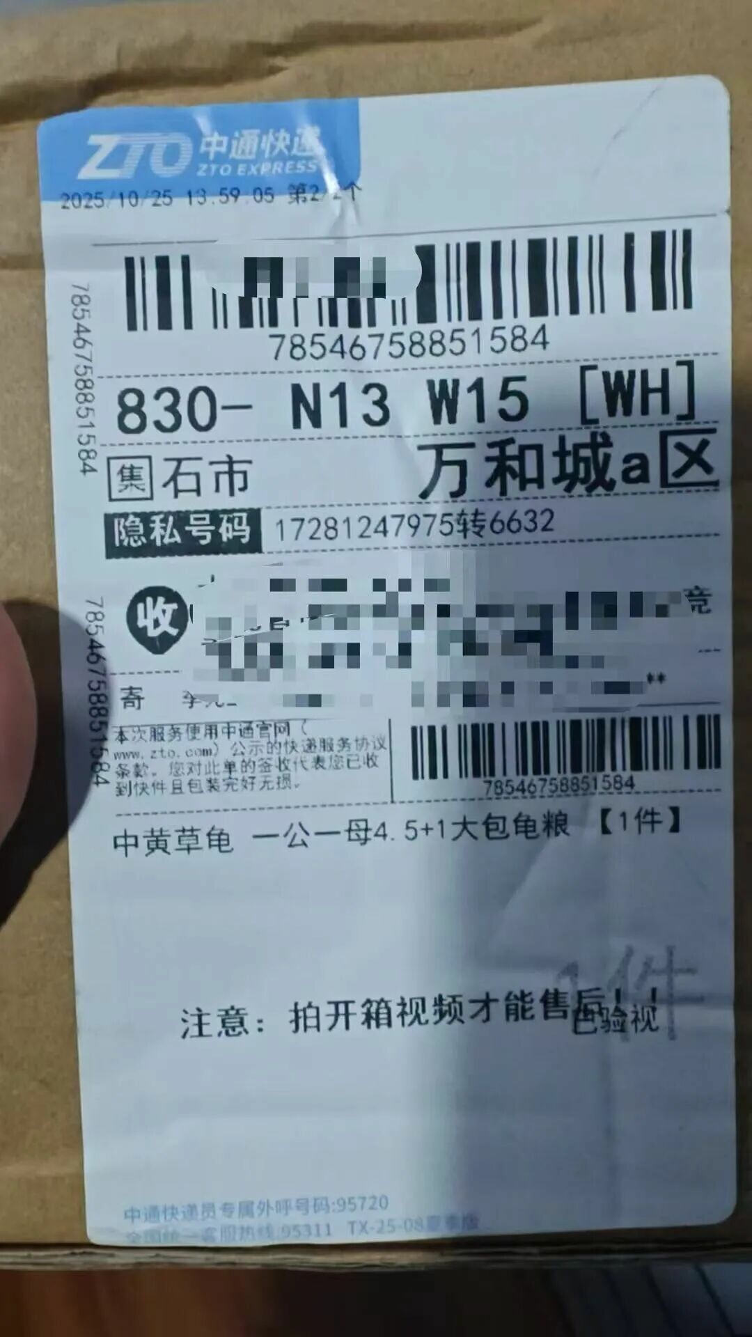 龟友联盟 2025.11.1——600 元买四眼斑水龟,竟收到草龟?