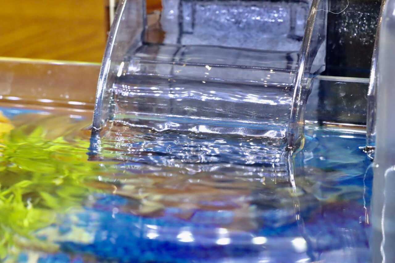 DIY Guide to Cycling Your Fish Tank! Filter Media Selection and Nitrifying Bacteria Cultivation All in One Go
