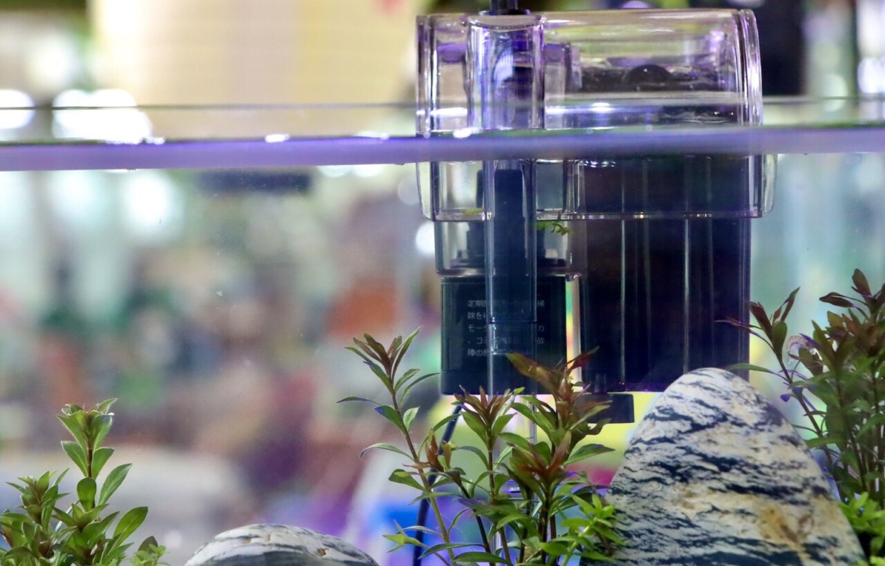 DIY Guide to Cycling Your Fish Tank! Filter Media Selection and Nitrifying Bacteria Cultivation All in One Go