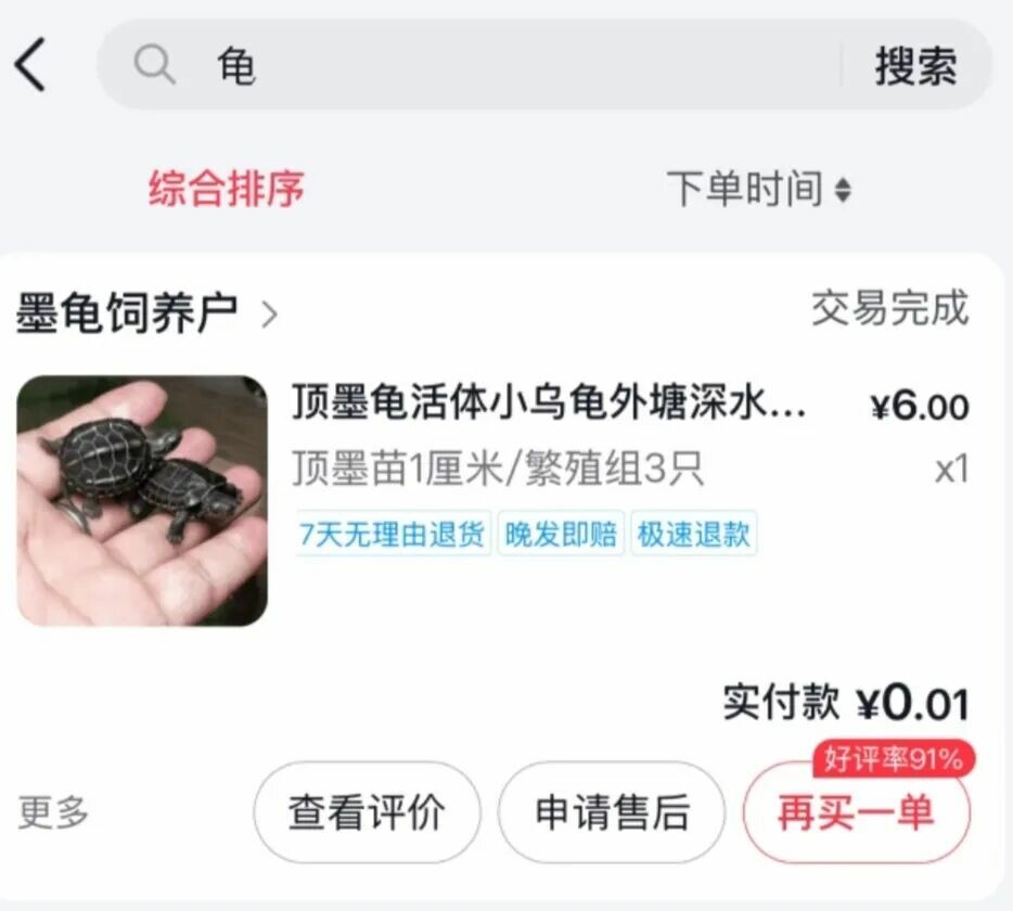 我国有多少种乌龟？揭秘本土龟 8 大冷知识