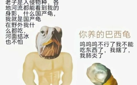 谁是野外分布最广的淡水龟？乌龟 8 大冷知识