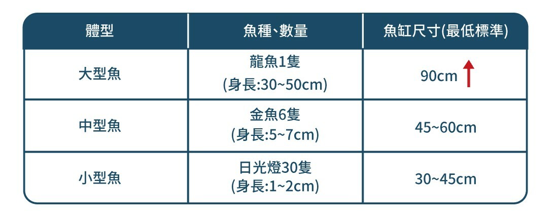 新手养鱼鱼缸挑选指南：初学者必懂的选缸方法