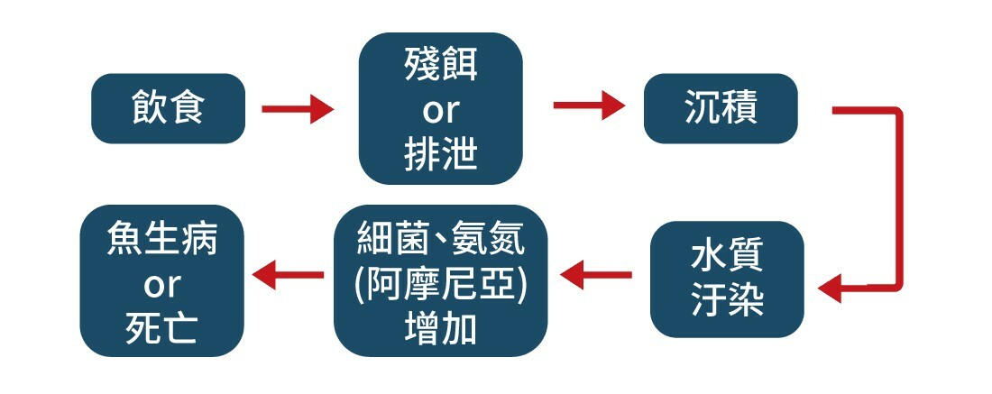 新手养鱼鱼缸挑选指南：初学者必懂的选缸方法