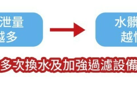 新手养鱼鱼缸挑选指南：初学者必懂的选缸方法