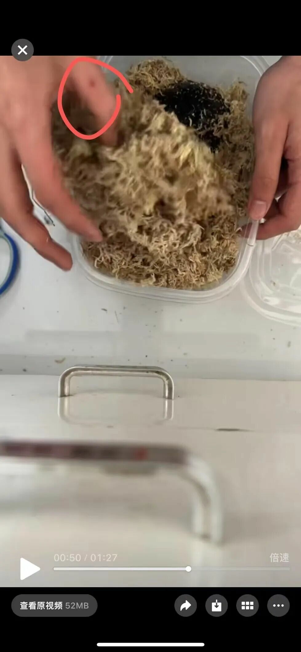 知识科普