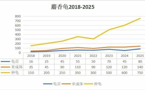 蛋龟市场行情预测：2026 政策前，中端品种最佳布局策略
