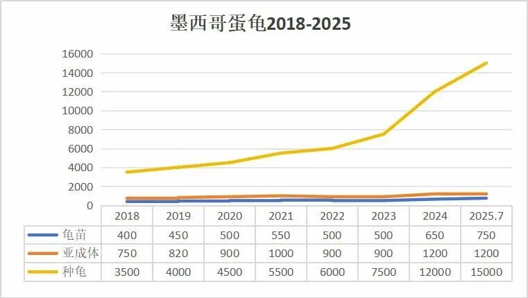 蛋龟市场行情预测:2026 政策前,中端品种最佳布局策略