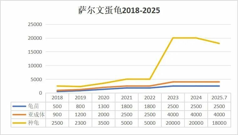 蛋龟市场行情预测:2026 政策前,中端品种最佳布局策略