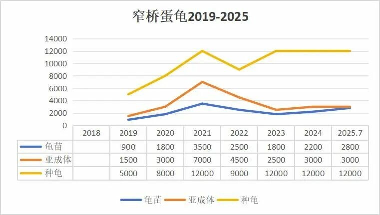 蛋龟市场行情预测：2026 政策前，中端品种最佳布局策略