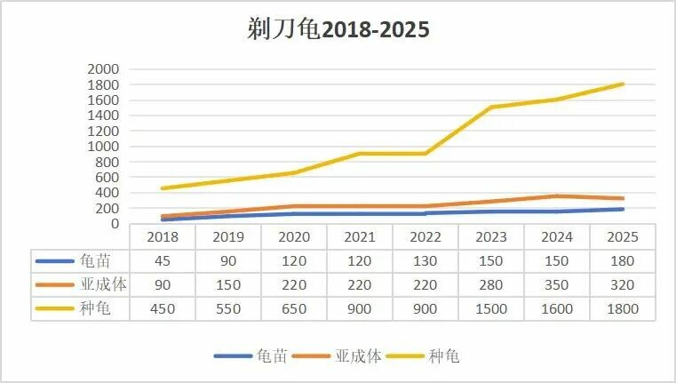 中端蛋龟入手时机 
