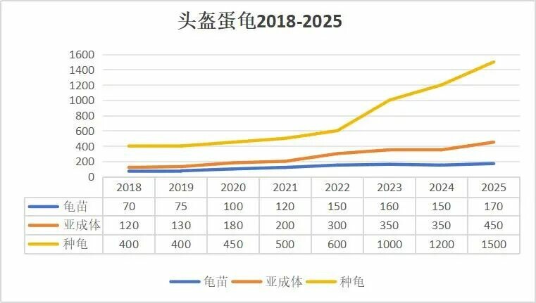 玩家选龟建议 