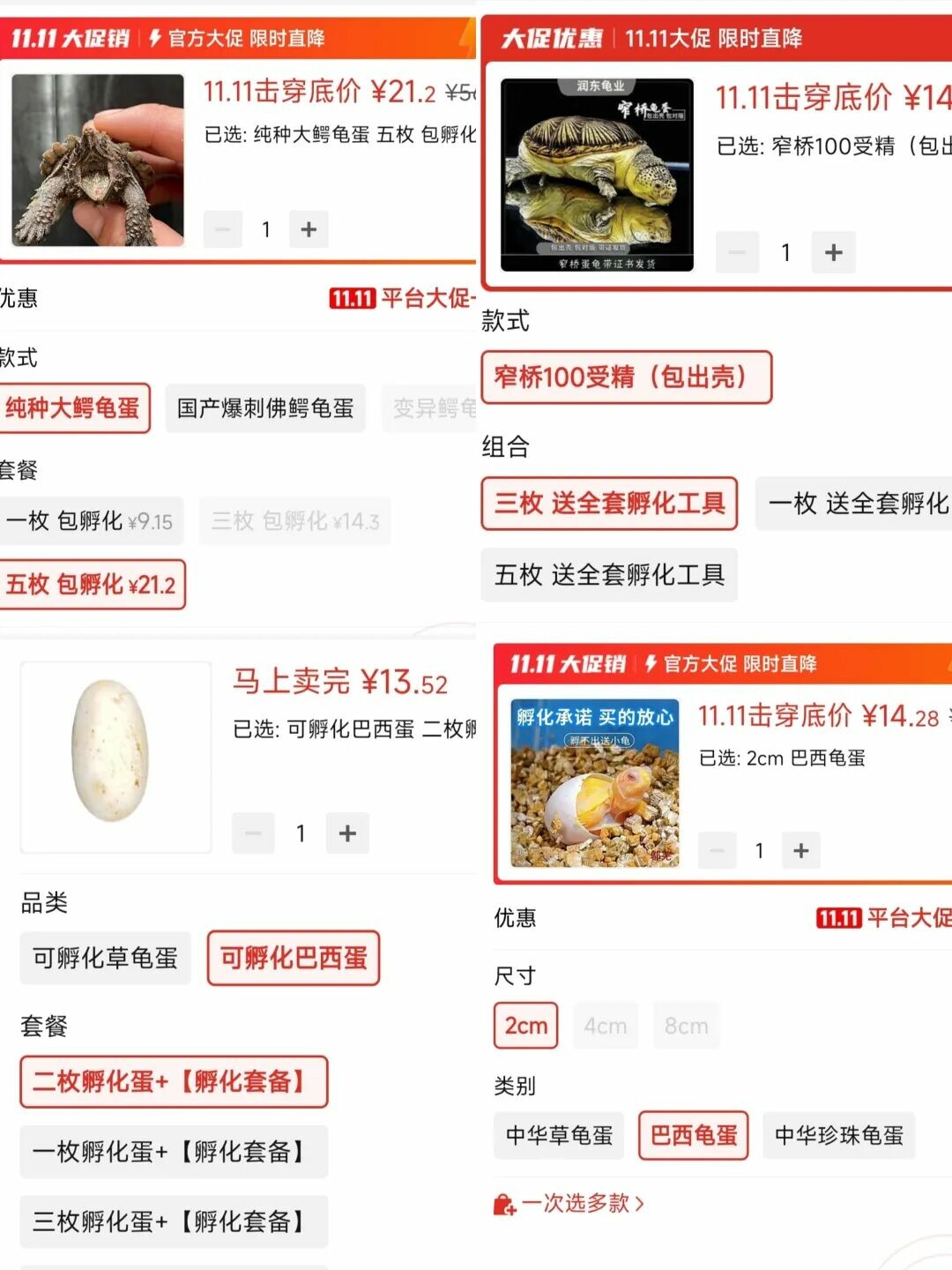 新手养龟入门攻略:选龟、饲养与禁忌,少走弯路!