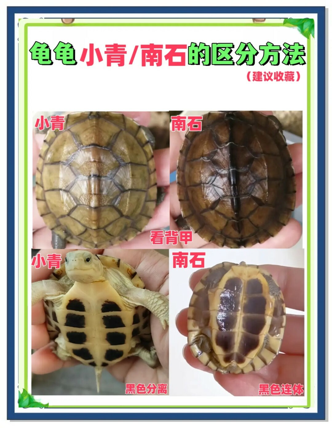 知识科普