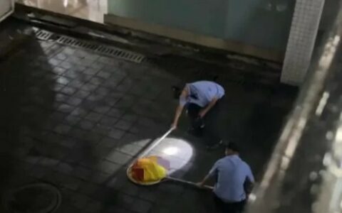 究竟何谓虐猫？从北理工事件看动保议题的非理性化