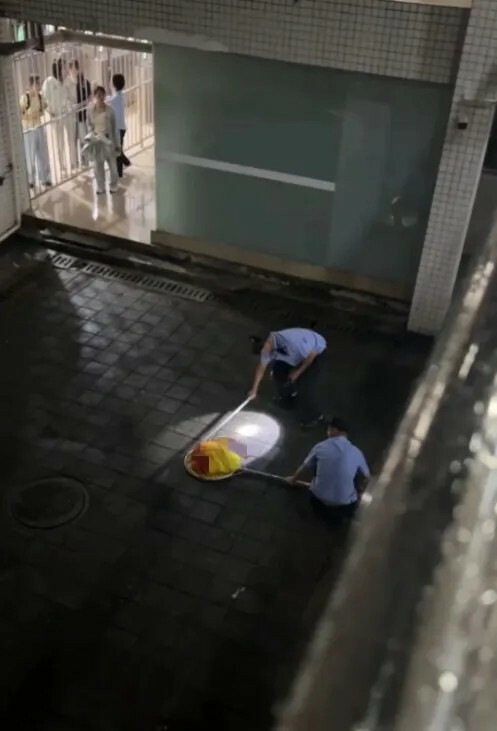 究竟何谓虐猫?从北理工事件看动保议题的非理性化