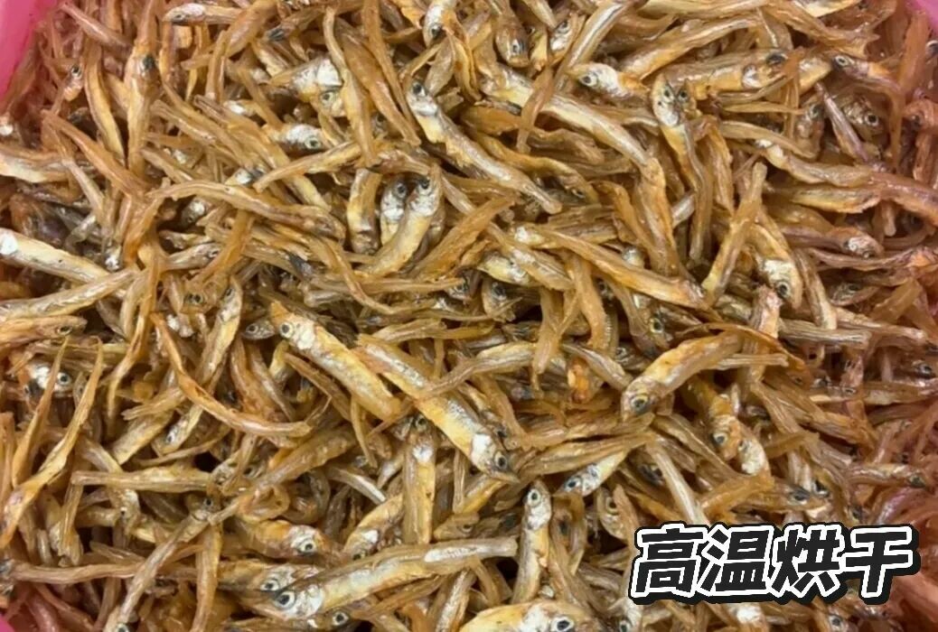 乌龟小鱼干别喂错!高温烘干危害大,健康挑选指南