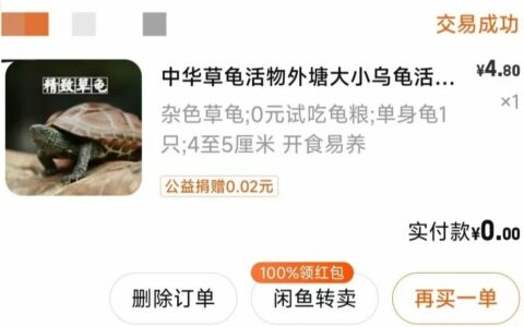 10 元高性价比乌龟：新手入门必看品种推荐