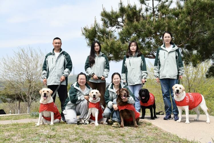 Are Guide Dogs a Scam or a Blessing for the Blind? Revealing the Truth Behind the 200,000 RMB Breeding Cost
