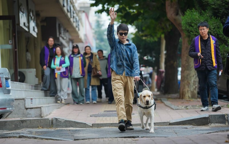Are Guide Dogs a Scam or a Blessing for the Blind? Revealing the Truth Behind the 200,000 RMB Breeding Cost