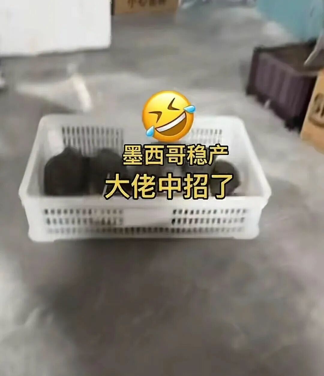 百科全书