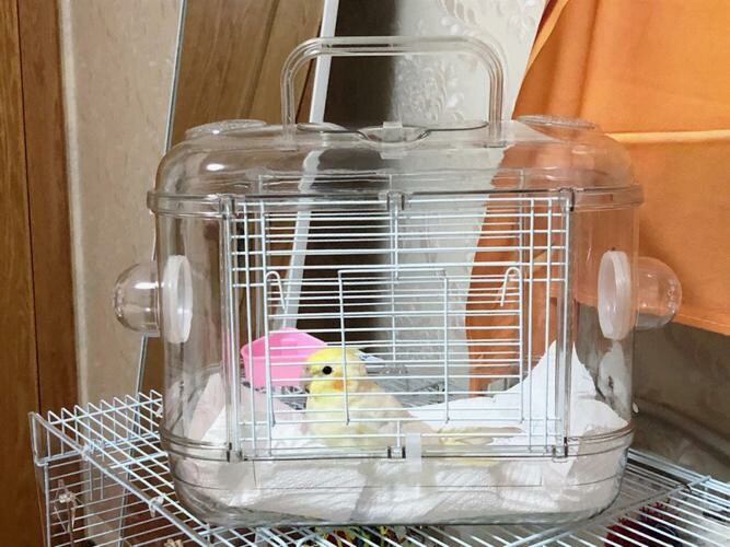 透气