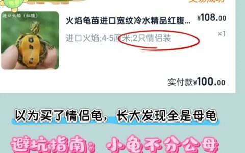 网上买龟防骗指南：识别 8 种常见陷阱