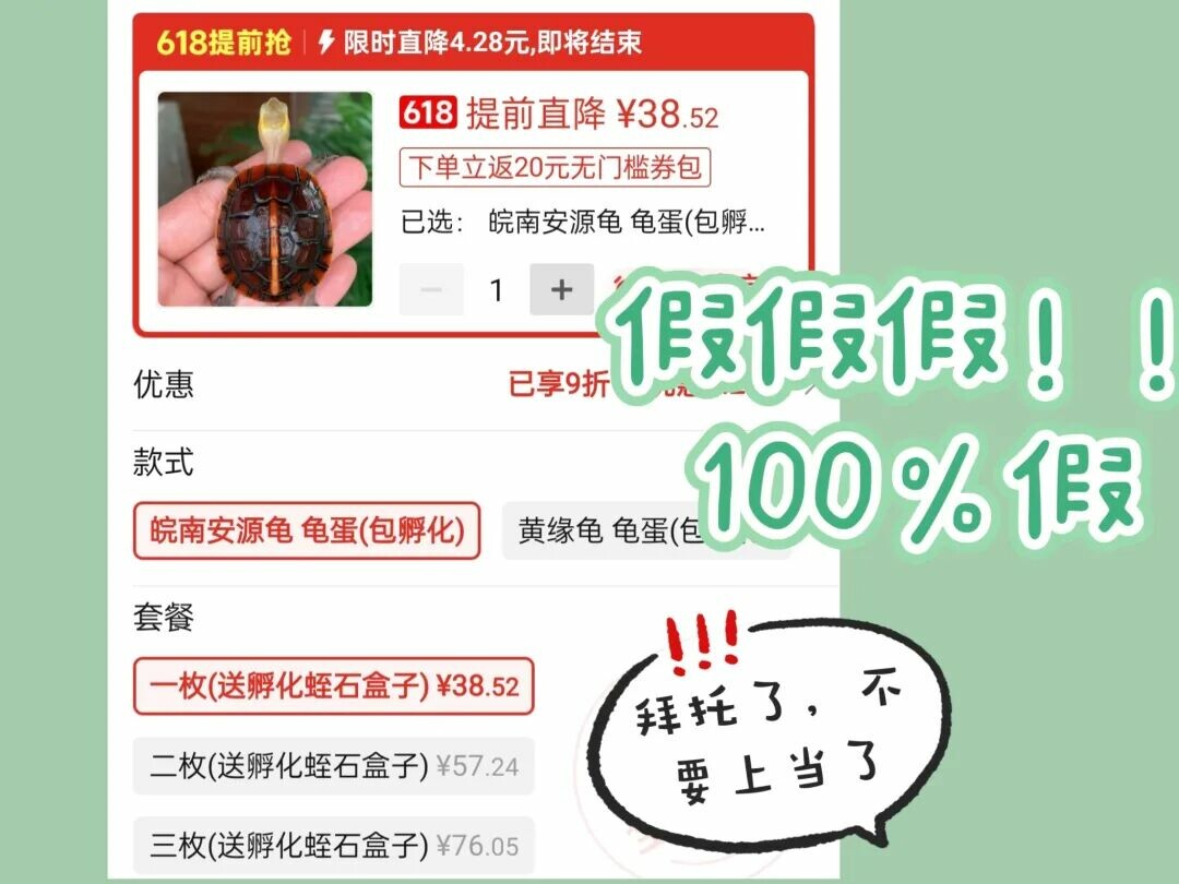 网上买龟防骗指南：识别 8 种常见陷阱