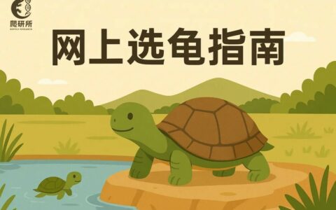 线上买龟注意事项：避开这 3 个致命陷阱